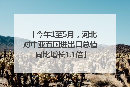 今年1至5月，河北对中亚五国进出口总值同比增长1.1倍