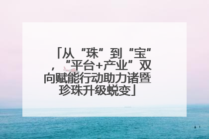 从“珠”到“宝”，“平台+产业”双向赋能行动助力诸暨珍珠升级蜕变