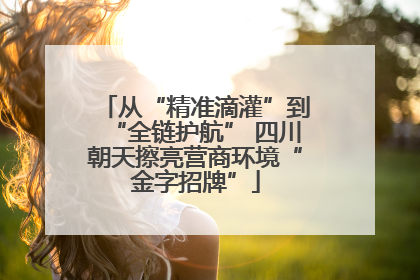 从“精准滴灌”到“全链护航” 四川朝天擦亮营商环境“金字招牌”