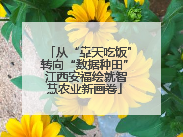 从“靠天吃饭”转向“数据种田” 江西安福绘就智慧农业新画卷