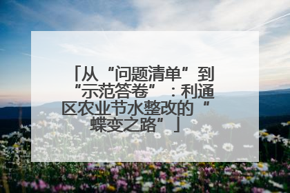 从“问题清单”到“示范答卷”：利通区农业节水整改的“蝶变之路”