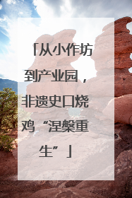 从小作坊到产业园，非遗史口烧鸡“涅槃重生”