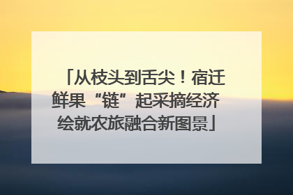 从枝头到舌尖！宿迁鲜果“链”起采摘经济绘就农旅融合新图景