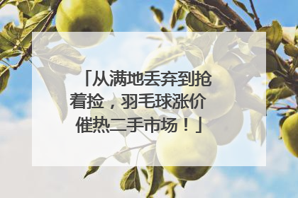 从满地丢弃到抢着捡，羽毛球涨价催热二手市场！