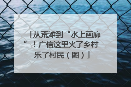 从荒滩到“水上画廊”！广信这里火了乡村 乐了村民（图）