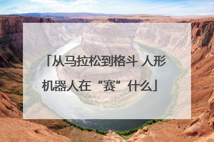从马拉松到格斗 人形机器人在“赛”什么