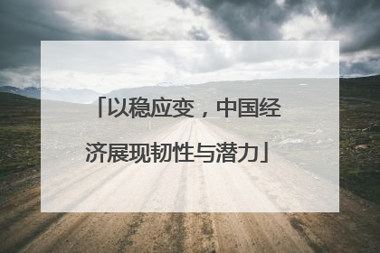 以稳应变，中国经济展现韧性与潜力