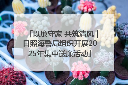 以廉守家 共筑清风｜日照海警局组织开展2025年集中送廉活动