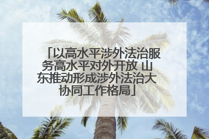 以高水平涉外法治服务高水平对外开放 山东推动形成涉外法治大协同工作格局