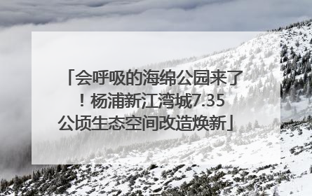 会呼吸的海绵公园来了！杨浦新江湾城7.35公顷生态空间改造焕新