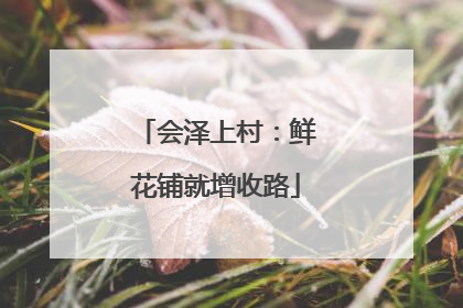 会泽上村：鲜花铺就增收路