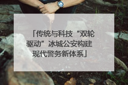 传统与科技“双轮驱动”冰城公安构建现代警务新体系
