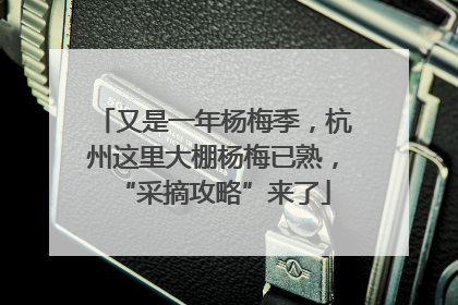 又是一年杨梅季，杭州这里大棚杨梅已熟，“采摘攻略”来了
