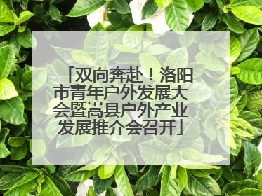双向奔赴！洛阳市青年户外发展大会暨嵩县户外产业发展推介会召开