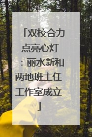 双校合力 点亮心灯：丽水新和两地班主任工作室成立