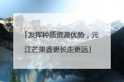 发挥种质资源优势，元江芒果香更长走更远