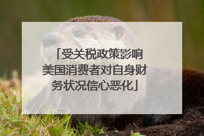 受关税政策影响 美国消费者对自身财务状况信心恶化