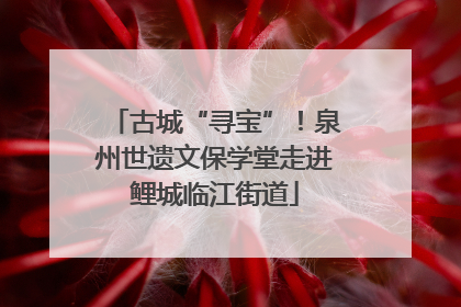 古城“寻宝”！泉州世遗文保学堂走进鲤城临江街道
