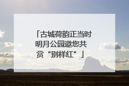 古城荷韵正当时 明月公园邀您共赏“别样红”