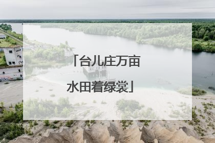 台儿庄万亩水田着绿裳