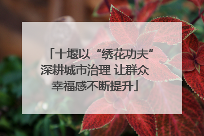 十堰以“绣花功夫”深耕城市治理 让群众幸福感不断提升