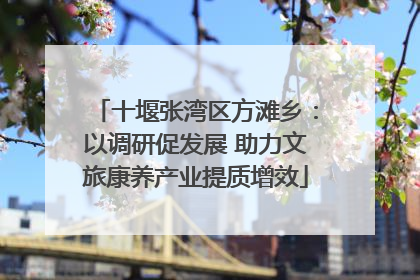 十堰张湾区方滩乡：以调研促发展 助力文旅康养产业提质增效