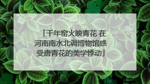千年窑火映青花 在河南南水北调博物馆感受唐青花的美学悸动