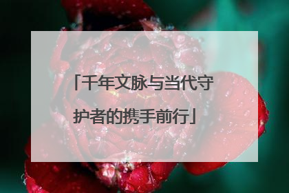 千年文脉与当代守护者的携手前行