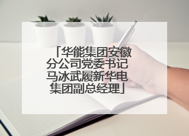 华能集团安徽分公司党委书记马冰武履新华电集团副总经理