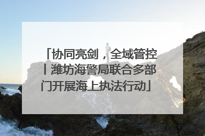 协同亮剑，全域管控丨潍坊海警局联合多部门开展海上执法行动