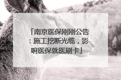 南京医保刚刚公告：施工挖断光缆，影响医保就医刷卡