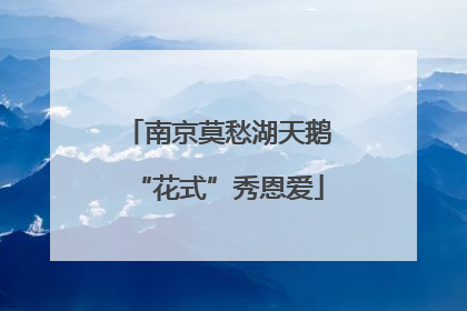 南京莫愁湖天鹅“花式”秀恩爱