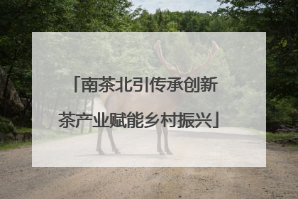 南茶北引传承创新 茶产业赋能乡村振兴
