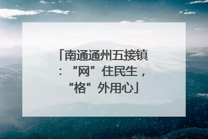 南通通州五接镇：“网”住民生，“格”外用心