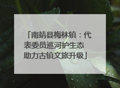 南靖县梅林镇：代表委员巡河护生态 助力古镇文旅升级