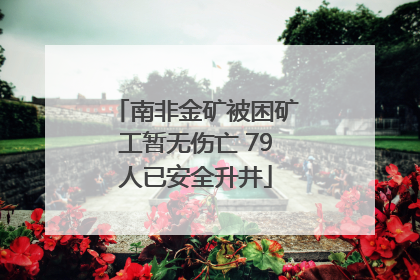 南非金矿被困矿工暂无伤亡 79人已安全升井