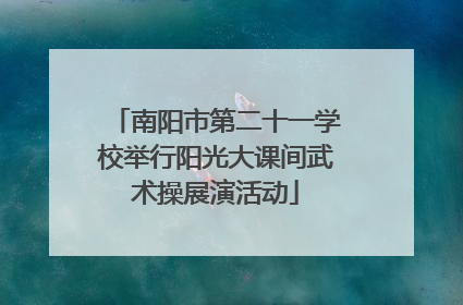 南阳市第二十一学校举行阳光大课间武术操展演活动