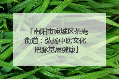 南阳市宛城区茶庵街道：弘扬中医文化 把脉基层健康
