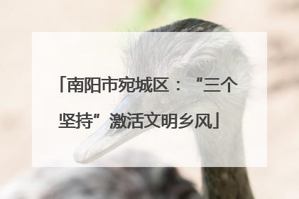南阳市宛城区：“三个坚持”激活文明乡风