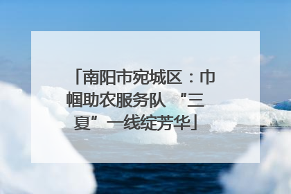 南阳市宛城区：巾帼助农服务队 “三夏”一线绽芳华