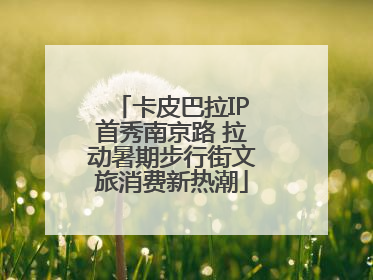 卡皮巴拉IP首秀南京路 拉动暑期步行街文旅消费新热潮