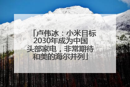 卢伟冰：小米目标2030年成为中国头部家电，非常期待和美的海尔并列