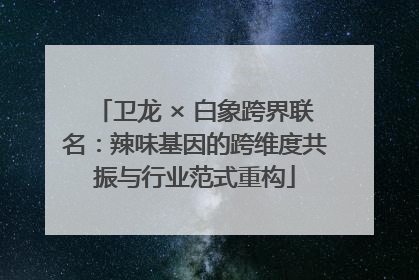 卫龙 × 白象跨界联名：辣味基因的跨维度共振与行业范式重构