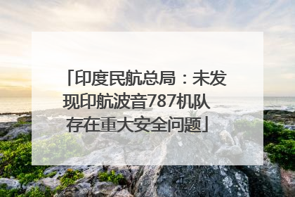 印度民航总局：未发现印航波音787机队存在重大安全问题