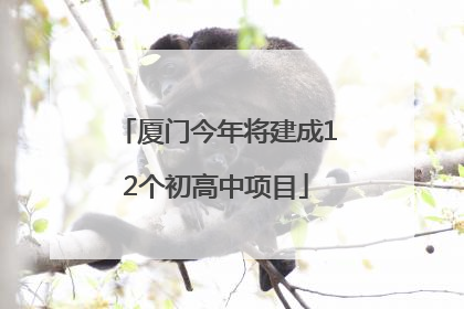 厦门今年将建成12个初高中项目