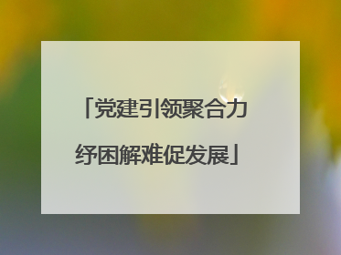 党建引领聚合力 纾困解难促发展