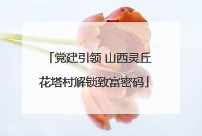 党建引领 山西灵丘花塔村解锁致富密码