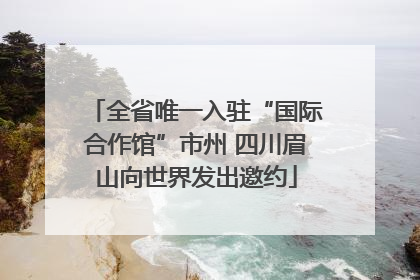 全省唯一入驻“国际合作馆”市州 四川眉山向世界发出邀约