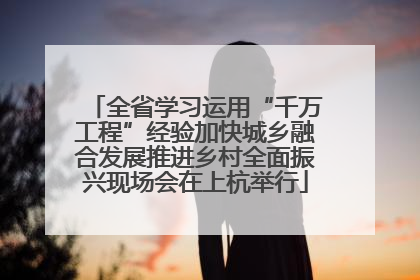 全省学习运用“千万工程”经验加快城乡融合发展推进乡村全面振兴现场会在上杭举行