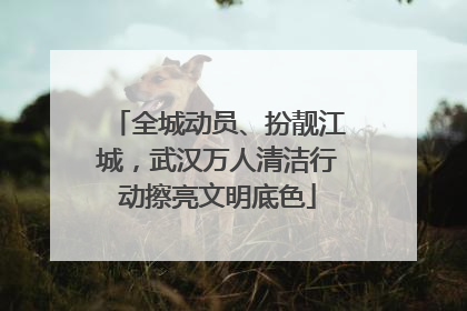 全城动员、扮靓江城，武汉万人清洁行动擦亮文明底色